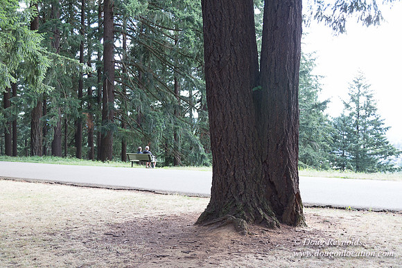 Mt Tabor Top- View 3 West