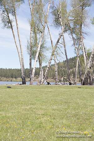 Ranch 18