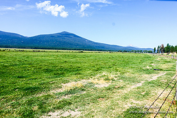 Ranch 18
