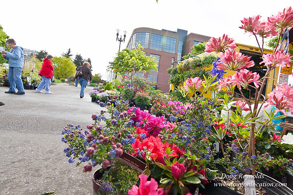 Vancouver WA Farmers Market