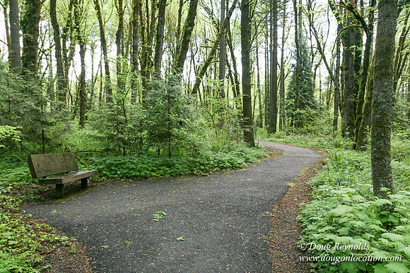 Tryon State Park