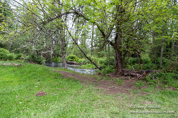 Ranch 21 at River