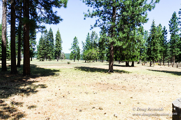 Ranch 18