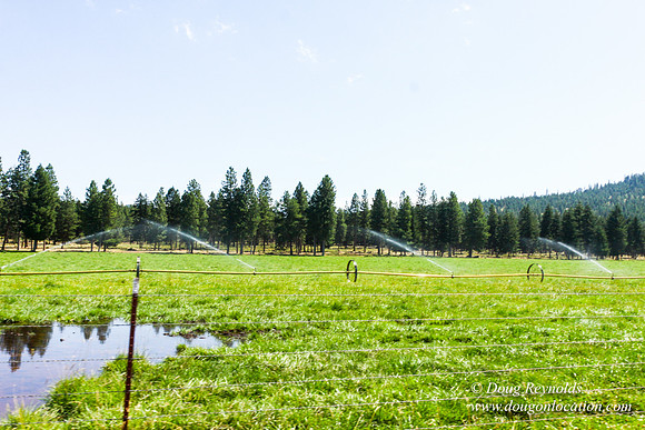 Ranch 18