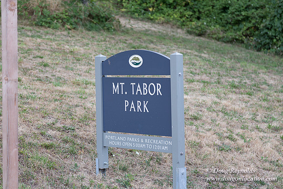 Mt Tabor- View 4 West