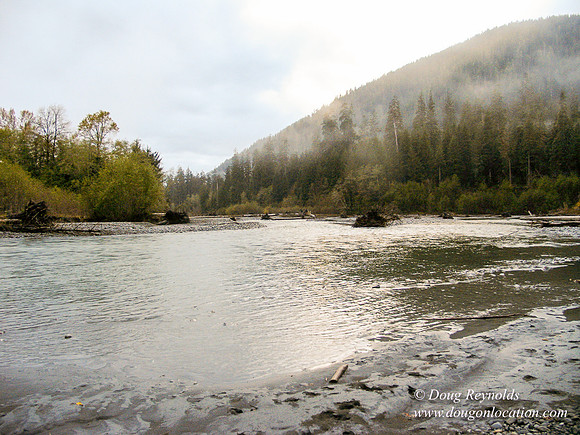 WA River 6