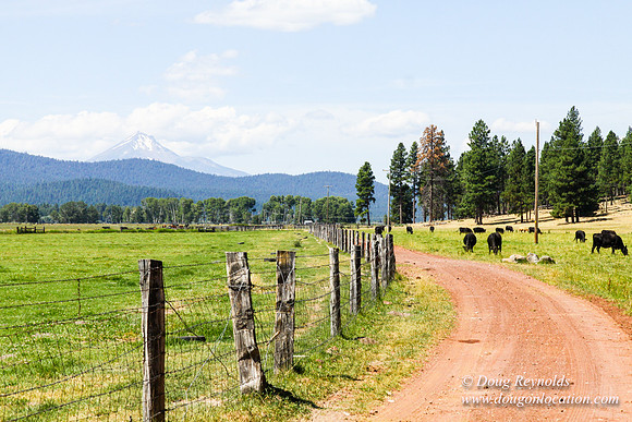 Ranch 18