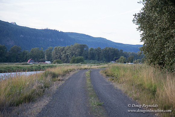 LCG & GWG Tree Farm