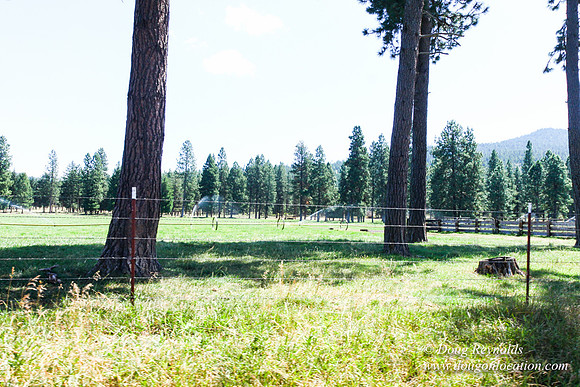 Ranch 18