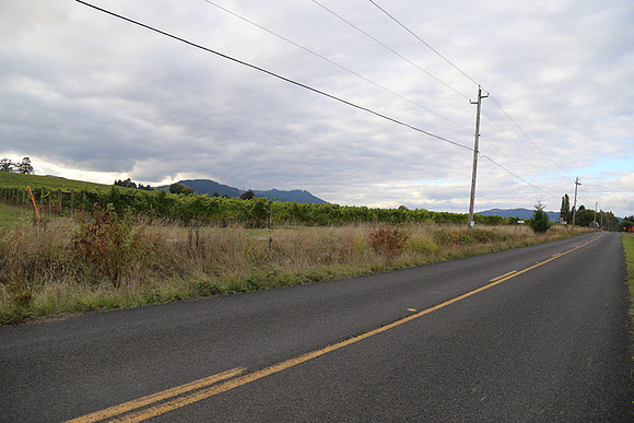 Dilly Rd-1509