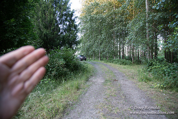 LCG & GWG Tree Farm