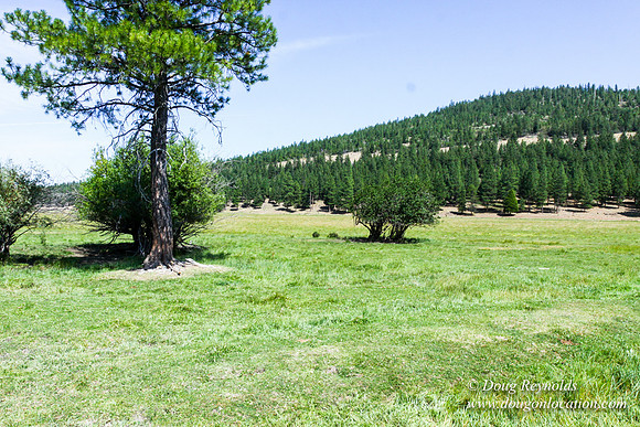 Ranch 18