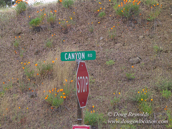 WA Canyon Rd- 7387