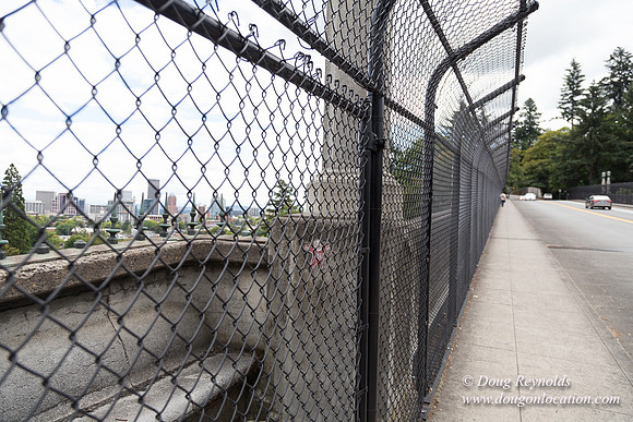 VIsta Bridge