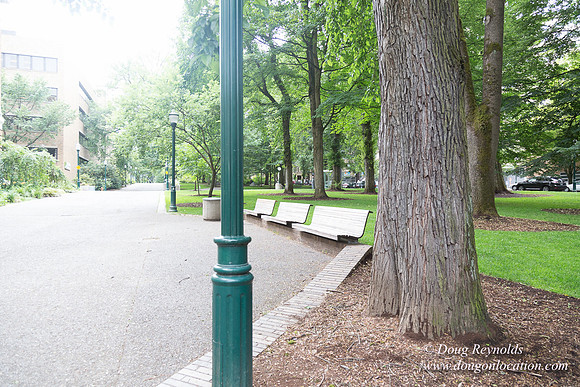 Portland Streets