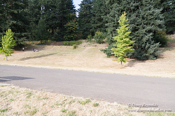Mt Tabor- View 5 SBT West