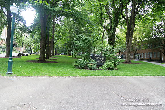 Portland Streets