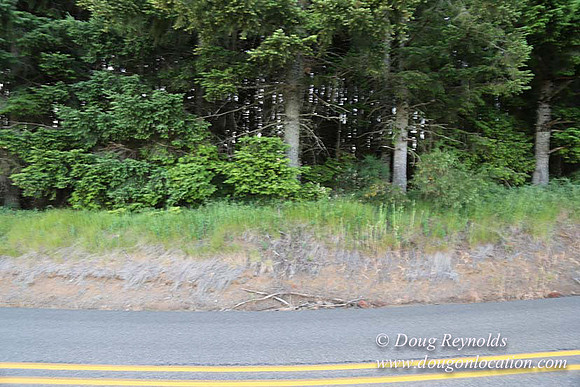 Hwy 214 M18-7665