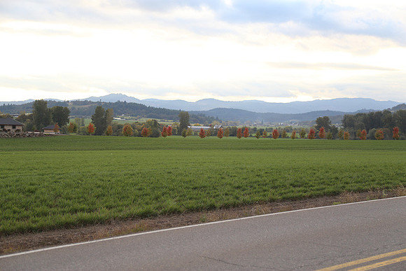 Morres Valley Rd-1677