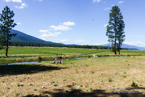 Ranch 18