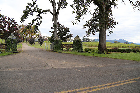 Dilly Rd-1517