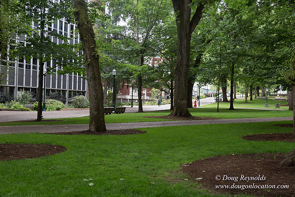 Portland Streets