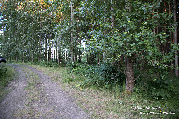 LCG & GWG Tree Farm