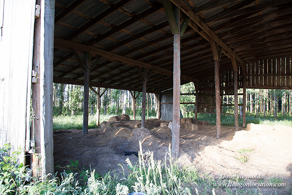 LCG & GWG Tree Farm