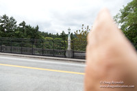 VIsta Bridge