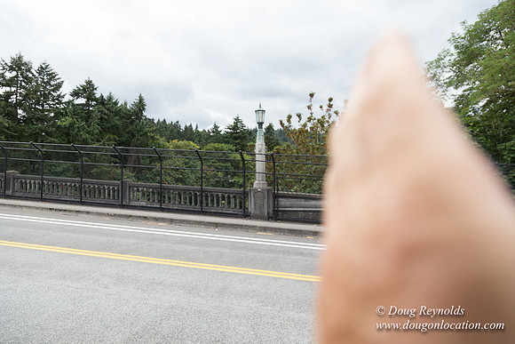 VIsta Bridge