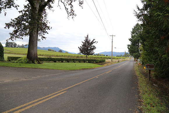 Dilly Rd-1519