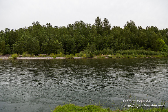 Ranch 21 at River