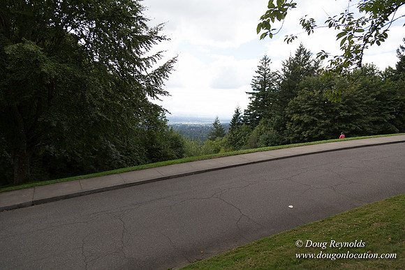 Council Crest Park View
