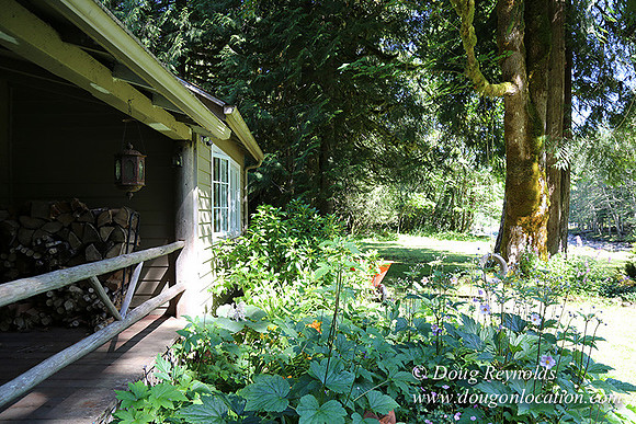 Cabin ,Home, House, River, Yard, Shop, Barn, Garden, Stream,