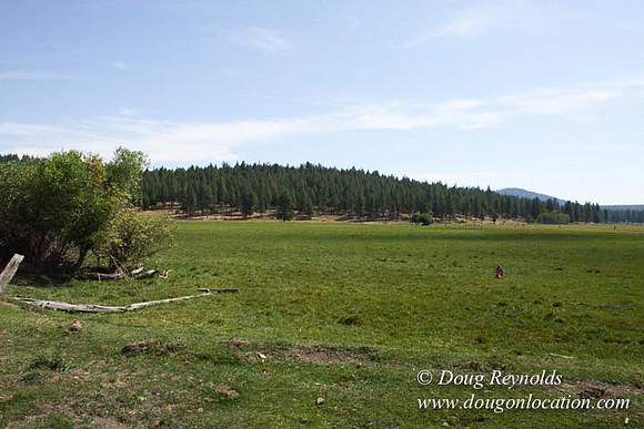 2500 Acres of green fields Creeks water crossing Bridges on a Large Lake and miles of Dirt roads Oak trees Forest land ATV Trails cows