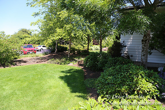 Scotts House-5358