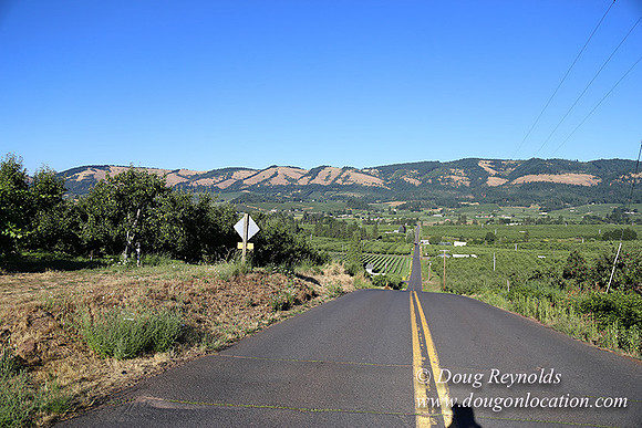 Eheck Hill-8421