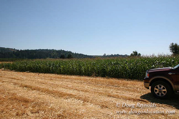Farm 4 has Barns Shops they grow Wheat and Corn.  in the Portland Zone
