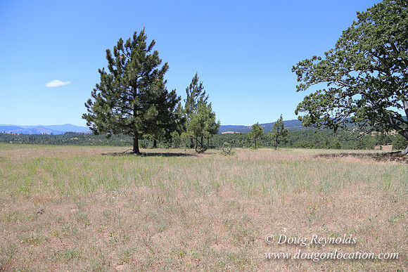 Brothers Ranch-8497