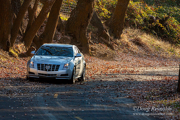 Dougs Car, Truck and Motor Portfolio