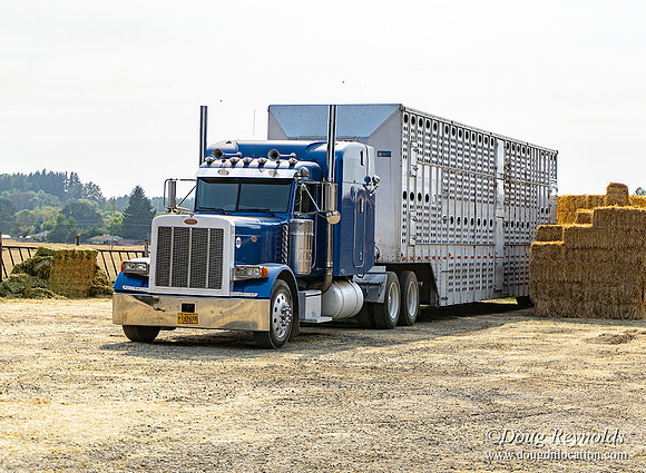 Dougs Car, Truck and Motor Portfolio