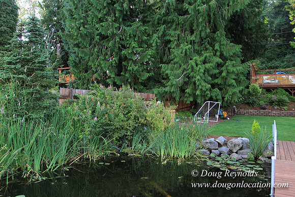 Kathys Lake House-7465