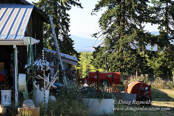 Patricks Farm Well maintained property, Lots of flowers Old Barn Farm House fruit trees Berries, Goats, Chicken’s, Turkey,