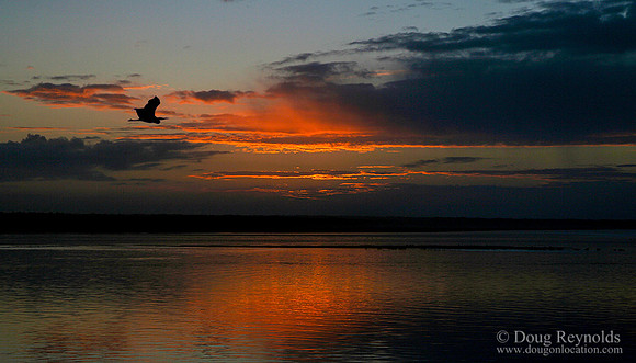 Nestucca Bay Sunset Haron