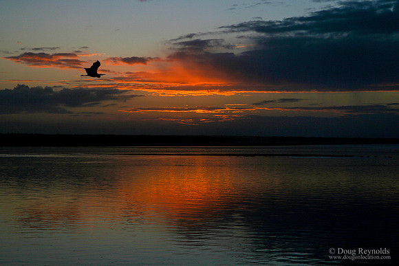 Nestucca Bay Sunset Haron