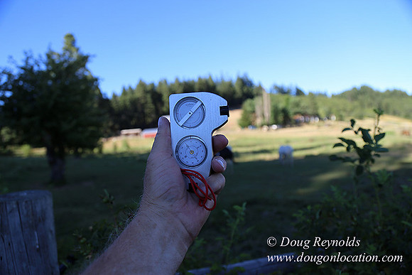 Neil Creek Horses-8537