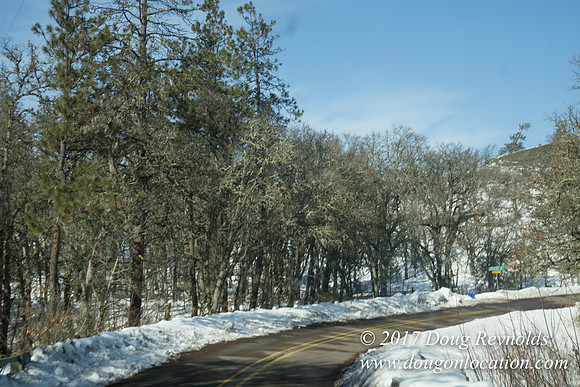 East H30 Snow