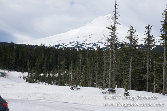 Medows Exit & Snow Park