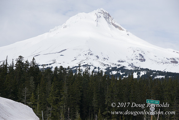 Medows Exit & Snow Park