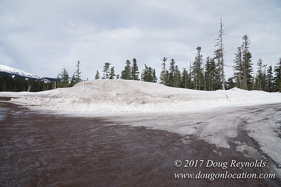 Medows Exit & Snow Park